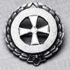bethesda pin bethesda pin